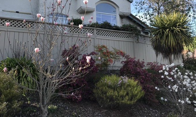 Petaluma House | One level house near hiking trails