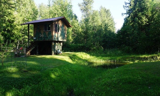 Sandpoint Apartment | One-room elevated wildlife viewing cabin with a twin bed, chairs, and a small food warming area.