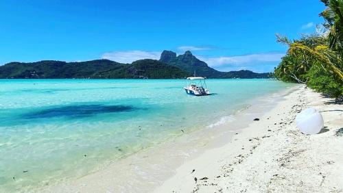 Bora Bora Bed & Breakfast | ONLY YOU MOTU