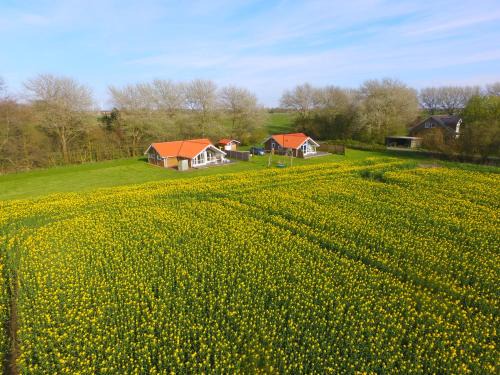 Fedderswarf House | Op Lundingland