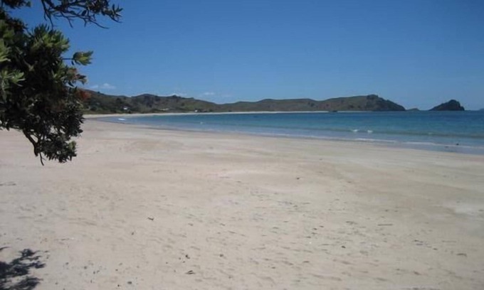 Opito Bay House | Opito Bay - A Slice of Paradise on the Coromandel