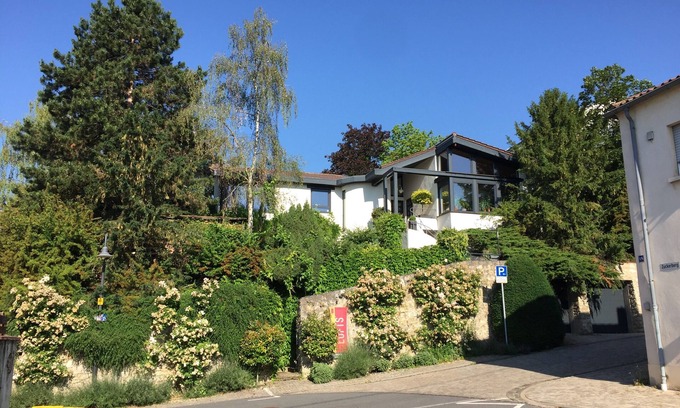 Mainz-Bingen Apartment | Oppenheim Lofts - smart living above town, Loft 2 - modern and comfortable