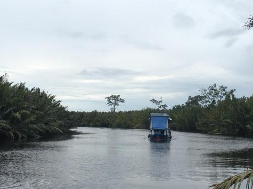 Kumai Boat Rental | Orangutan Shaka Houseboat with cabin