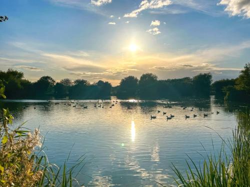 Rochford House | Orchard House - Uk48580