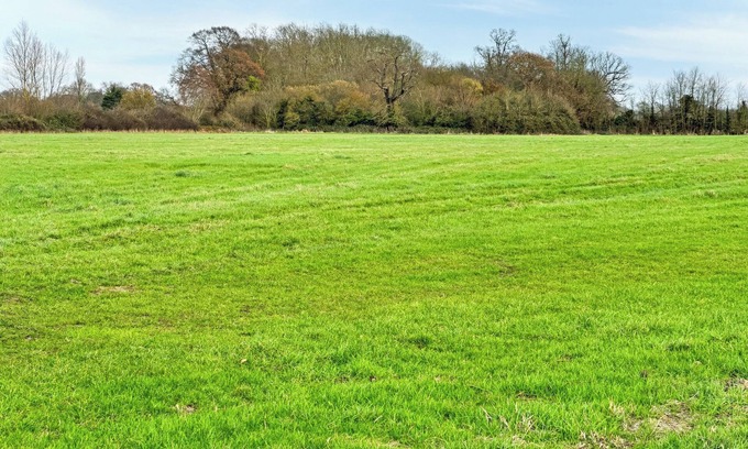 Rochford Cottage | Orchard House - UK48580