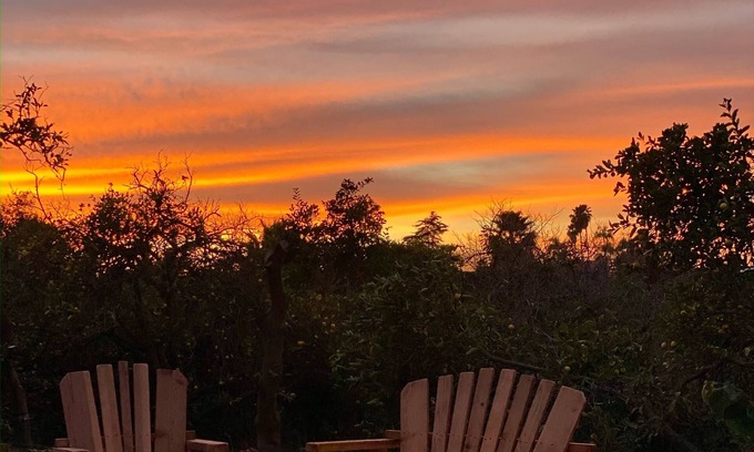 Vista House | Orchard walks + Sunset views