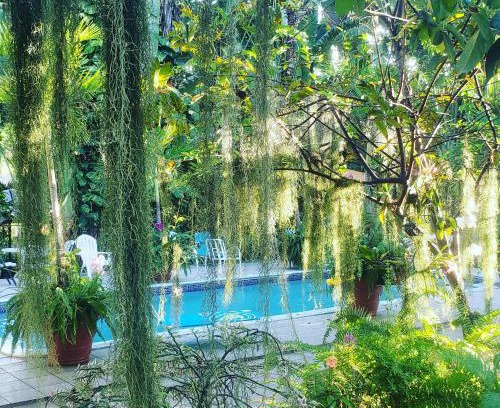 Norbrook House | Orchid Cottage