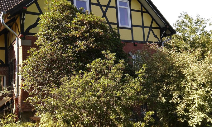 Bad Sachsa House | Organic holiday home with a great view - ideal for families and groups of friends