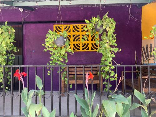 Barra de Potosi Hostel | ORidleys Hostel16