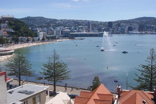 Oriental Bay Apartment | Oriental Bay At Its Best