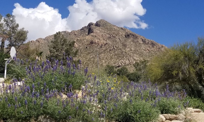 Rancho Catalina House | Oro Valley Guest house - Oracle/Magee Close to Everything! Hiking/Golf/Swimming