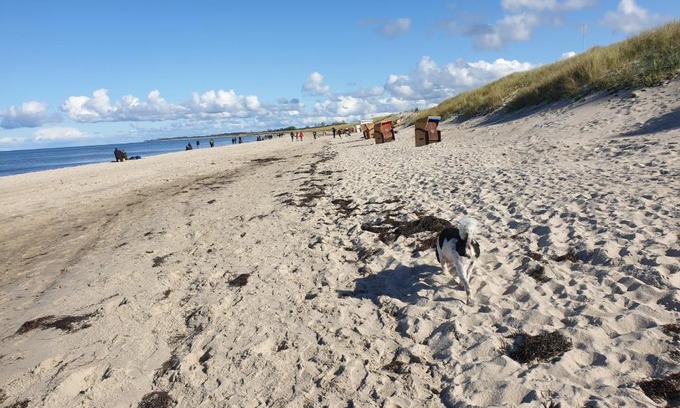 Ribnitz-Damgarten Apartment | Ostsee, Strand & Me(e)hr erleben, Speziell für Familien, Fe/wo "Sunny" am Bodden/Fischland/Ribnitz