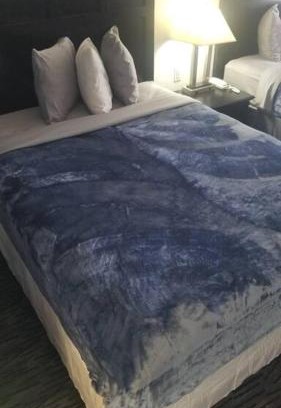 Stillwater Apartment | OSU Hotel 2 Queen Beds Hotel Room 132