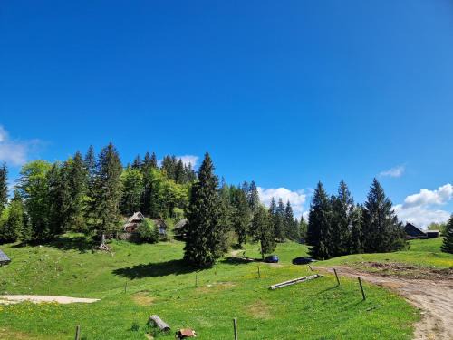Spodnja Lipnica Ski Chalet | OTO`S CABIN