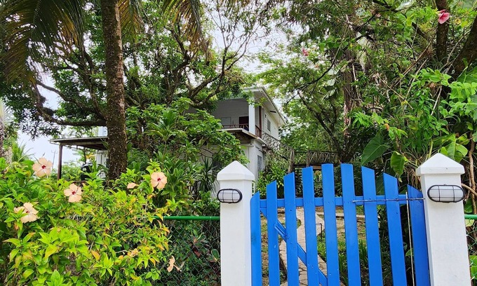 Forest Home Apartment | Our Sea of Blue Suite faces the Caribbean and awaits you