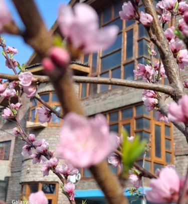 Srinagar Apartment | Outsaw cottage