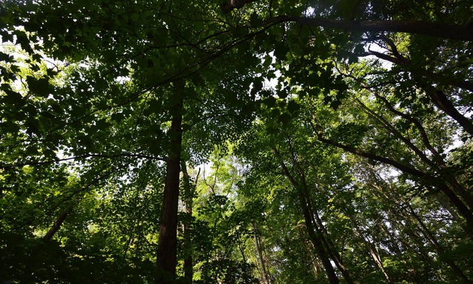 New Plymouth Cabin | Over 200 acres, pet-friendly, Satellite WiFi, DirecTV, & pool table.