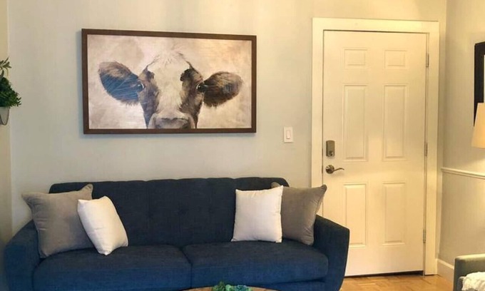 Downtown Dunedin Apartment | Overlooking Downtown Dunedin Two Bedroom apartment