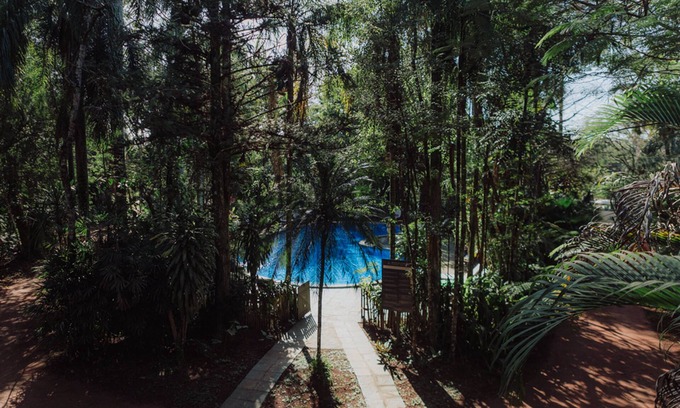 Puerto Iguazu Cabin | Overo Lodge & Selva