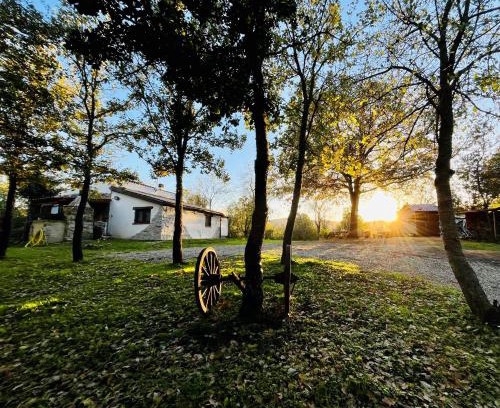 Fonni House | Ovostolai Cottage