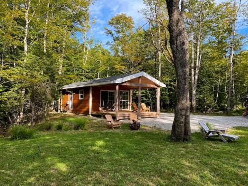 Kemptville House | Owl Cabin - Forest Retreat nearby Lake - not on waterfront