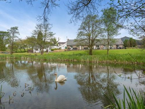 Pentrefelin House | Owl Cottage