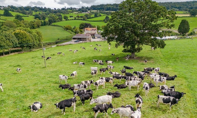 Gloucester Cottage | Owls Nest Barn - sleeps 9 guests in 4 bedrooms