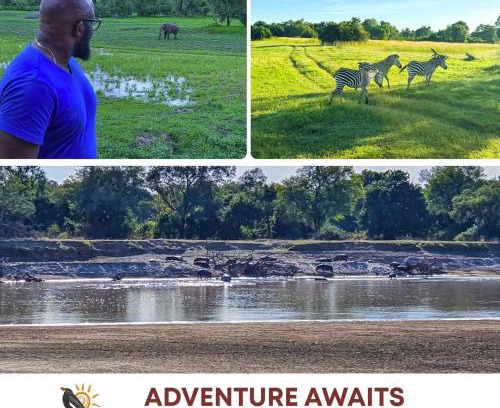 Mfuwe Cabin | Oxpecker Safari Lodge