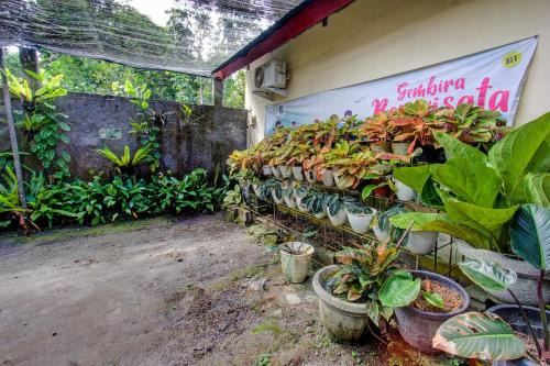 Kecamatan Narmada Hotel | OYO 92619 Inn Homestay