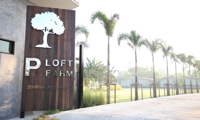 Rayong House | P LOFT FARM