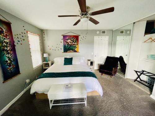 Pacific Beach Apartment | Pacific Beach Butterfly Suite