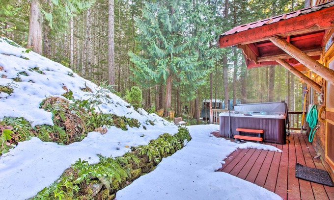 Packwood House | Packwood Cabin Retreat w/ Private Hot Tub!