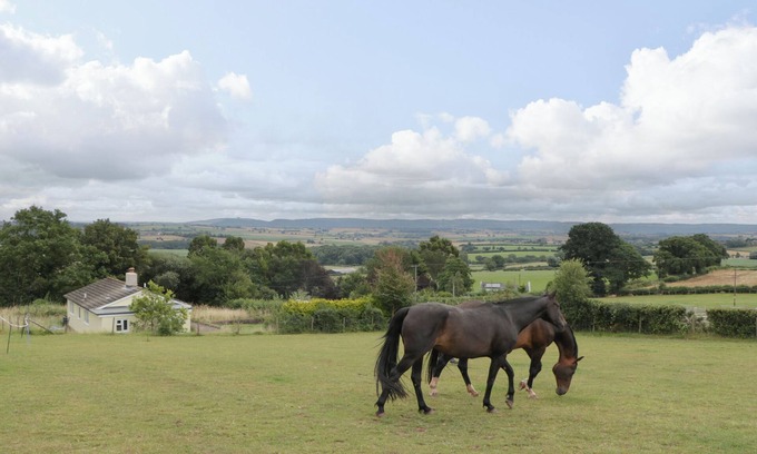 Hereford House | PALACE BUNGALOW, pet friendly, with open fire in St Weonards