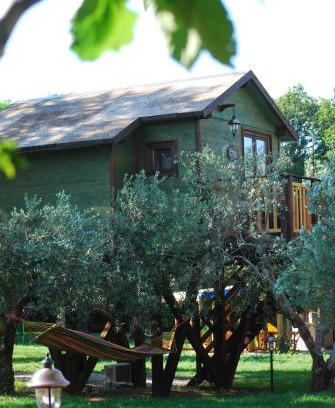 Marano Marchesato Bed & Breakfast | Palazzo Conforti Tree House Resort