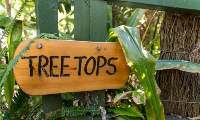 Palm Beach House | Palm Beach Bungalows: Treetops