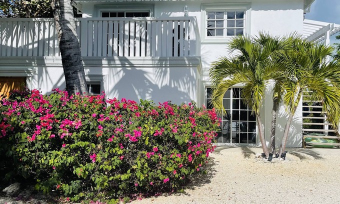 Discovery Bay House | PALM BREEZE VILLA