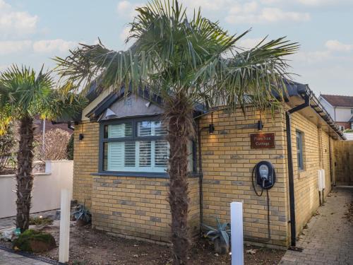 Sandown House | Palm Tree Cottage