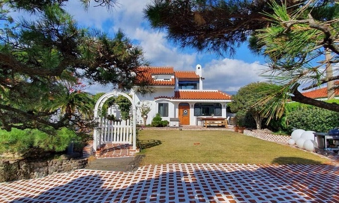 Seogwipo City House | Palm Tree Hill Villa
