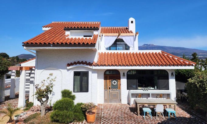 Seogwipo City Villa | Palm Tree Villa