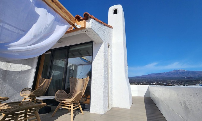 Seogwipo City Villa | Palm Tree Villa