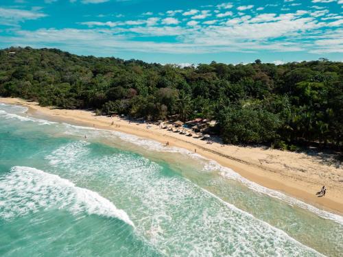Isla Bastimentos Cabin | Palmar Beach Lodge