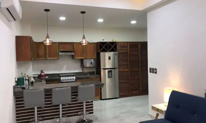 R Apartment | PALMAS DE CHAHUE 4 (474 SF)