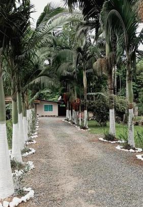 Pomerode House | Palmenhaus