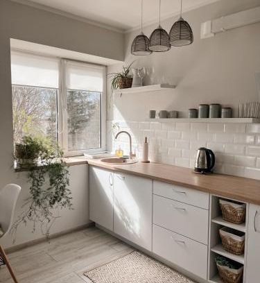 Regi Apartment | Palova Green