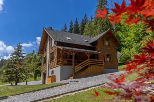 Joseni House | Paltán Vendégház