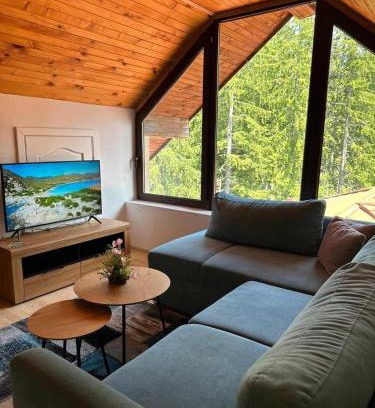 Pamporovo Apartment | Pamporovo Rhodopi Pearl Apartments - Private Apartments