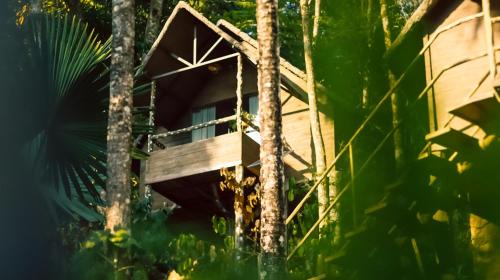 Pirmed Villa | Panchavadi - Forest-Facing Treehouses with a Natural Mountain Pool