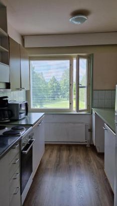 Leppavirta Apartment | Pankkikallio