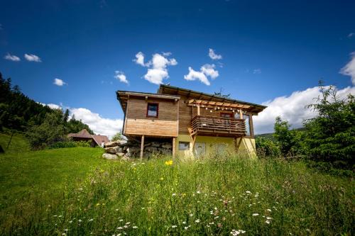 Laßnitz bei Murau Apartment | Panorama Apartment Bauernhof Mandl