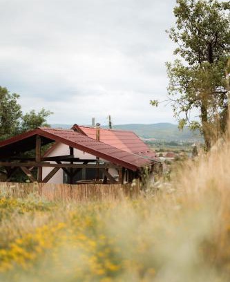 Lugasu de Jos House | Panorama Lugasu
